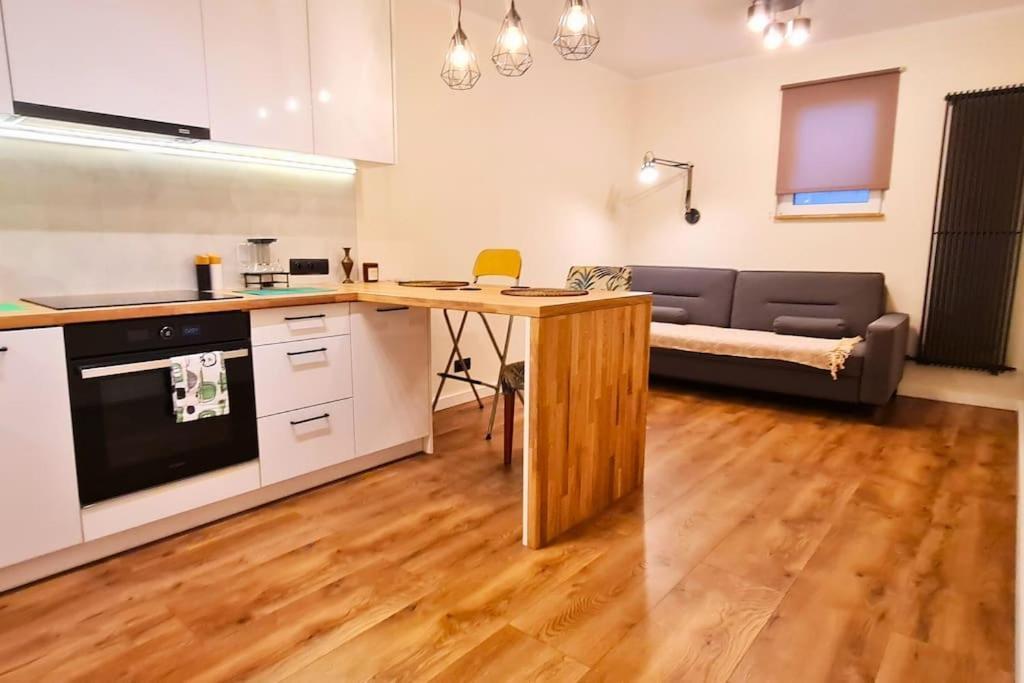 Modern 2 Bedroom Apartment/Kazimierz/Paulinska St. Krakkó Kültér fotó